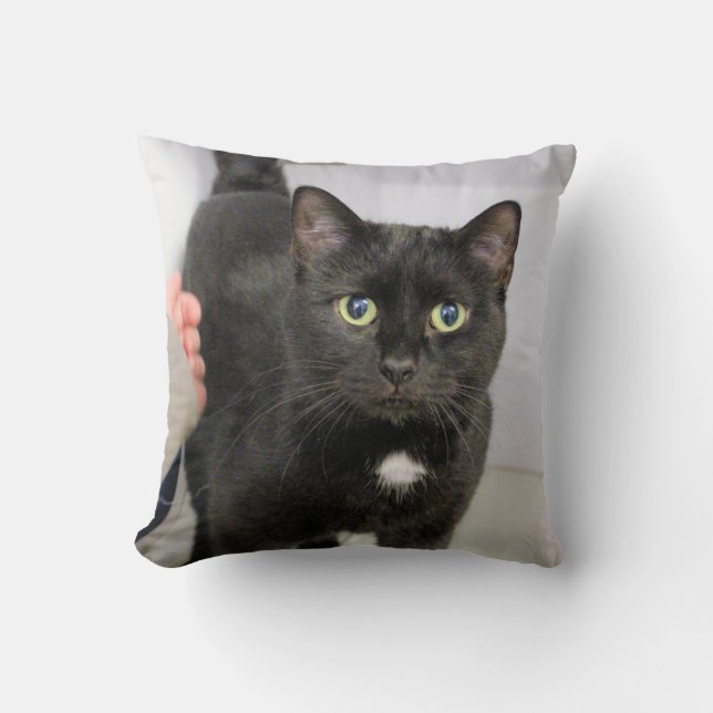 Cat Cushion (Front)