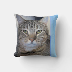 Cat Cushion