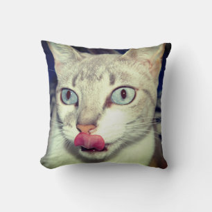 Cat Cushion
