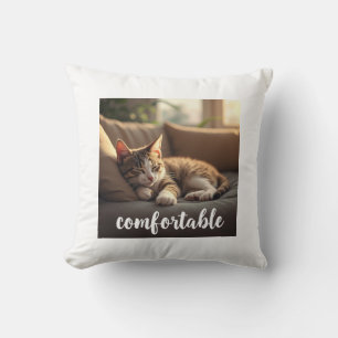 cat cushion