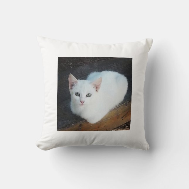Cat Cushion (Front)