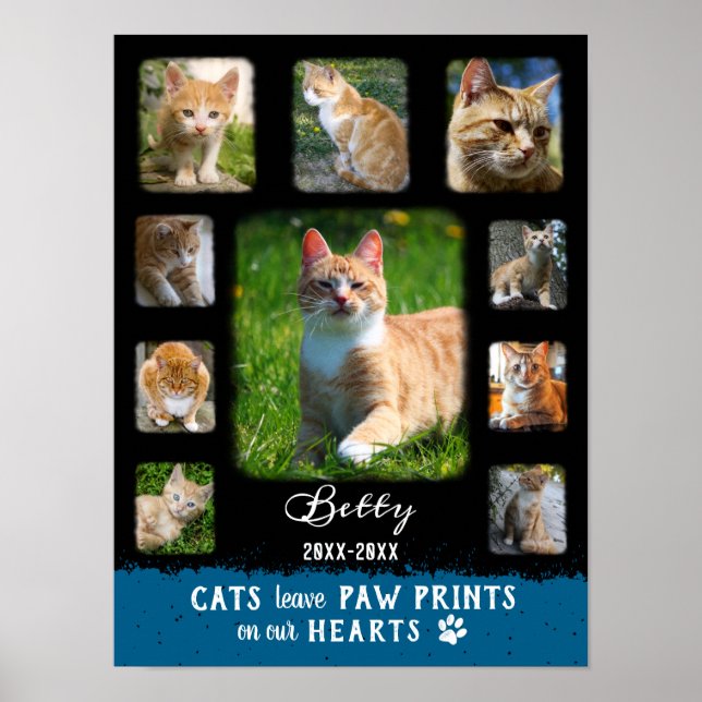 Cat Custom Photo Collage Faded Borders Black Blue Poster (Front)