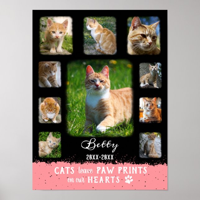 Cat Custom Photo Collage Faded Borders Black Pink Poster (Front)