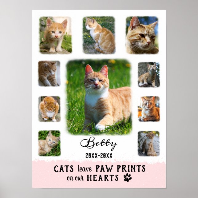Cat Custom Photo Collage Faded Borders White Pink Poster (Front)