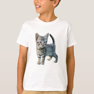 Cat Cute Cats Kittens Cute Animals T-Shirt