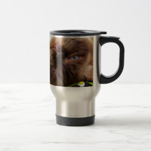 cat cute pet purr meow eyes face macro close grace travel mug