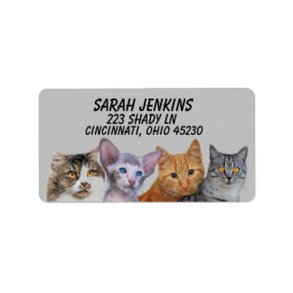 CAT CUTE ROW OF CATS Return Address Labels