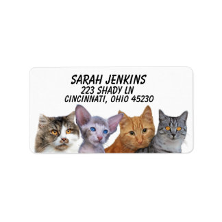 CAT CUTE ROW OF CATS Return Address Labels
