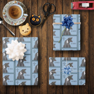 Cat Dad Adoption Father's Day Wrapping Paper Sheet
