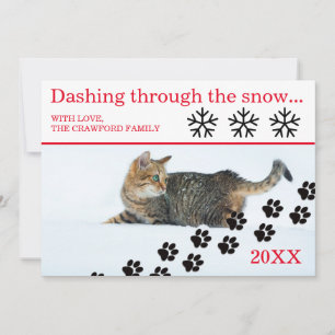 Cat Dashing Through the Snow - Christmas Card