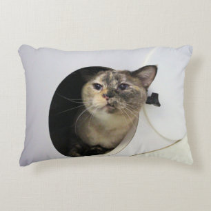 Cat decorative cushion