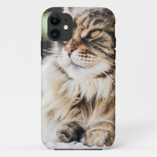 Cat deep in thought iPhone 11 case