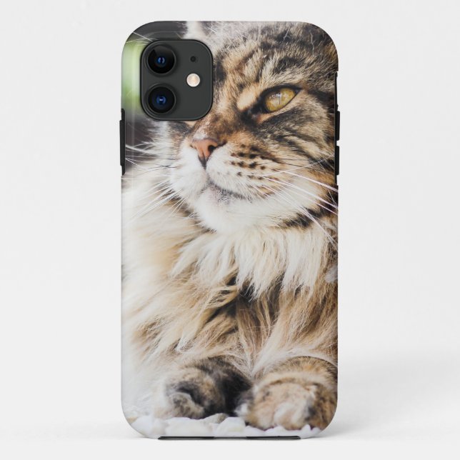 Cat deep in thought Case-Mate iPhone case (Back)