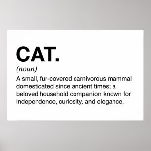 Cat Definition Noun Funny Cat Lover Poster