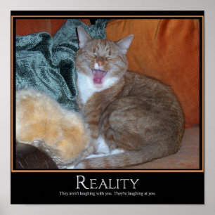 Cat Demotivator Poster