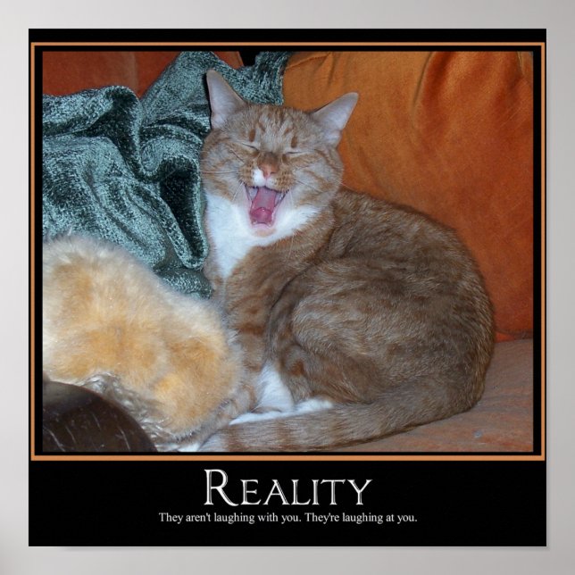 Cat Demotivator Poster (Front)