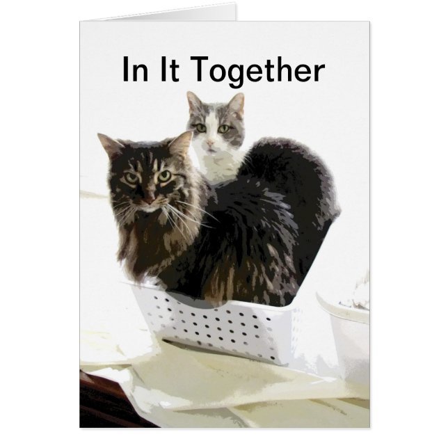 cat design blank card In It Together (Front)
