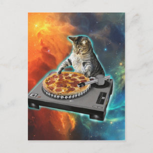Cat dj disc jockey's sound table postcard