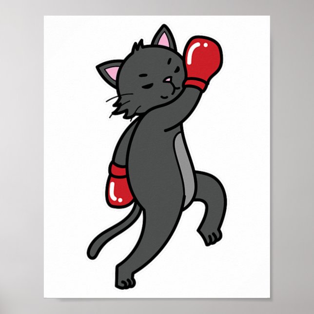 Cat Does Boxing  Poster (Front)