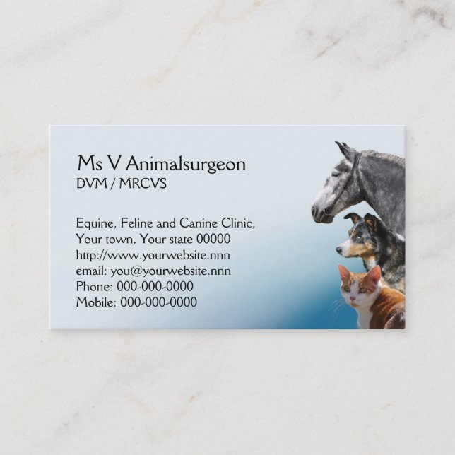 Cat, dog and horse vet appointment (Front)