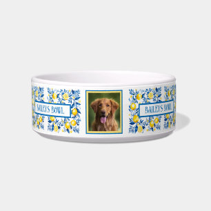 Cat Dog Lovers Mediterranean Style Photo Name    Bowl