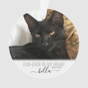 Cat Dog Pet Loss Memorial Personalised Ornament