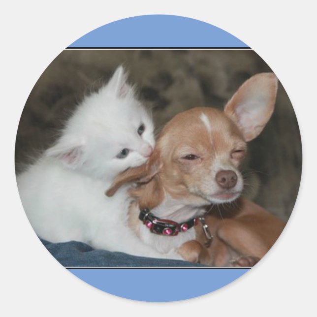 Cat/dog stickers. classic round sticker (Front)