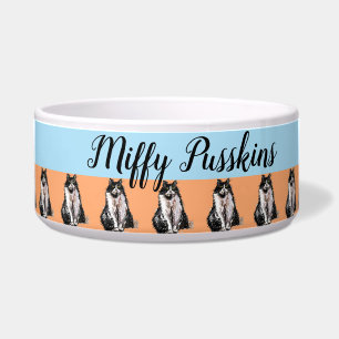 Cat Dog Tuxedo Cat Pastel Orange Pet Name