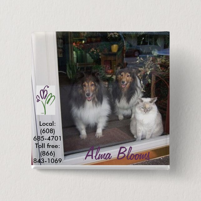 Cat & Dogs 15 Cm Square Badge (Front)