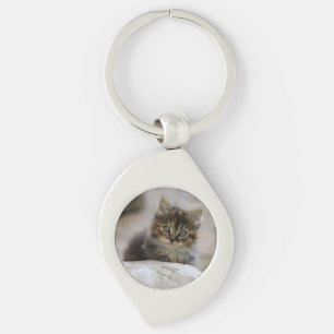 Cat, Domestic cat, Animal Key Ring