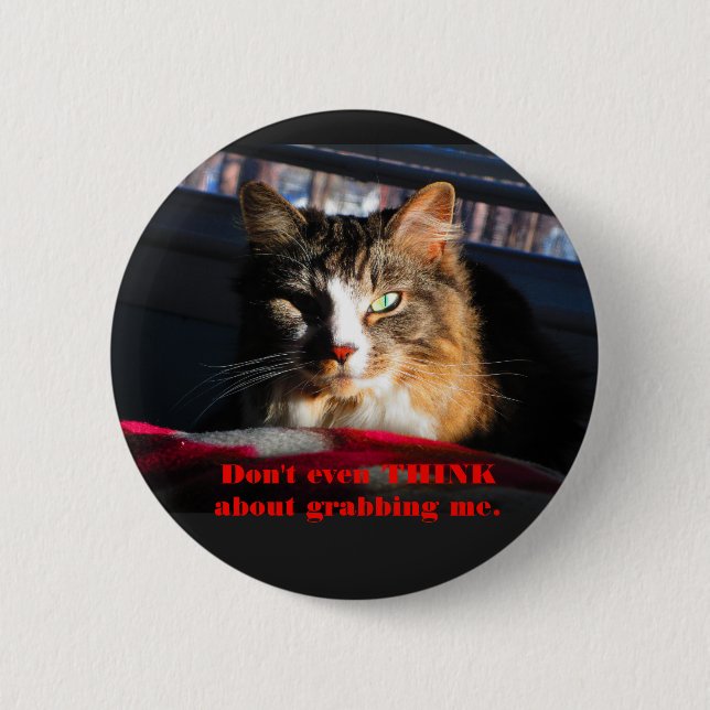 Cat Don't even think about grabbing me 6 Cm Round Badge (Front)