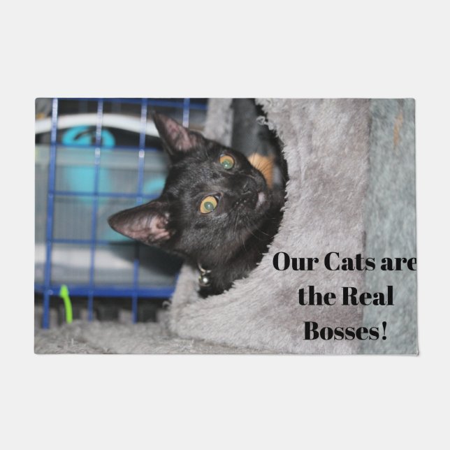Cat Doormat (Front)