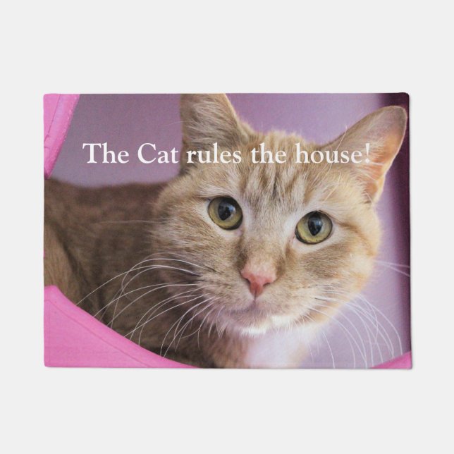 Cat Doormat (Front)