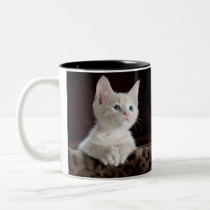 cat double mug