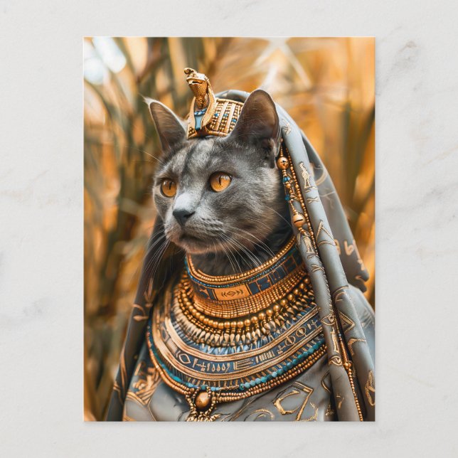 Cat Dressed as Pharaoh Queen Postcard (Front)
