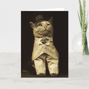Cat Dressed up from 1906 Vintage Greeting Card