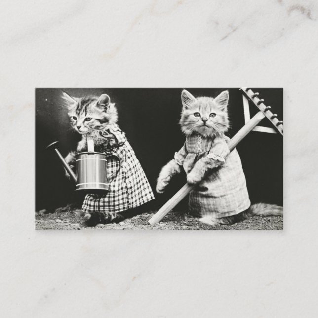 Cat Dressed Vintage Photo Business Card (Front)