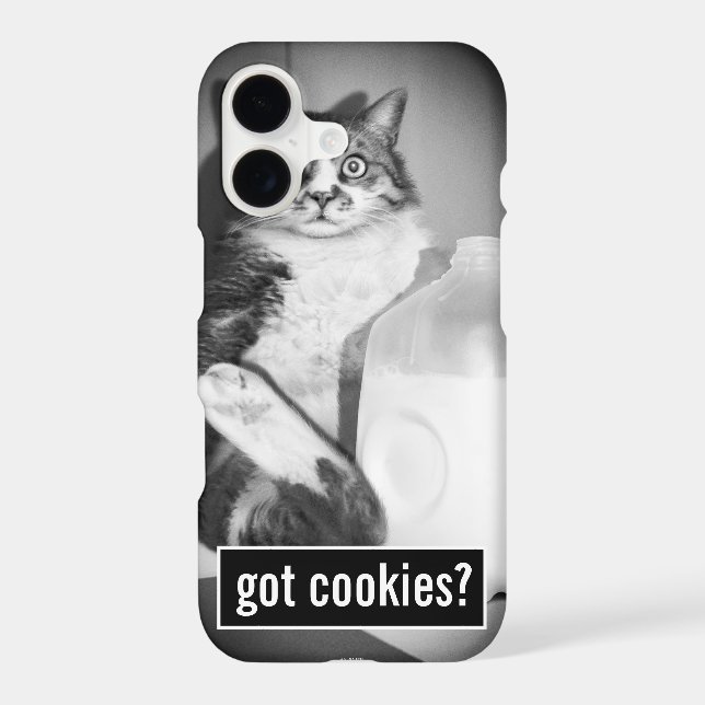 Cat Drinking Milk From Jug (Back)