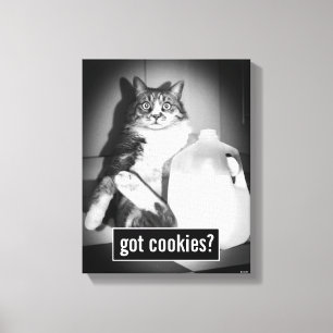 Cat Drinking Milk From Jug Canvas Print