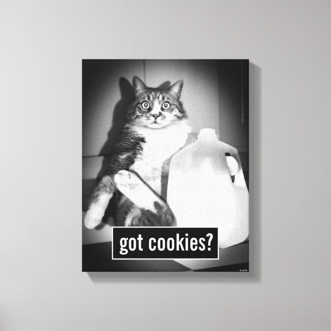 Cat Drinking Milk From Jug Canvas Print (Front)