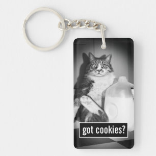 Cat Drinking Milk From Jug Key Ring