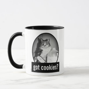 Cat Drinking Milk From Jug Mug