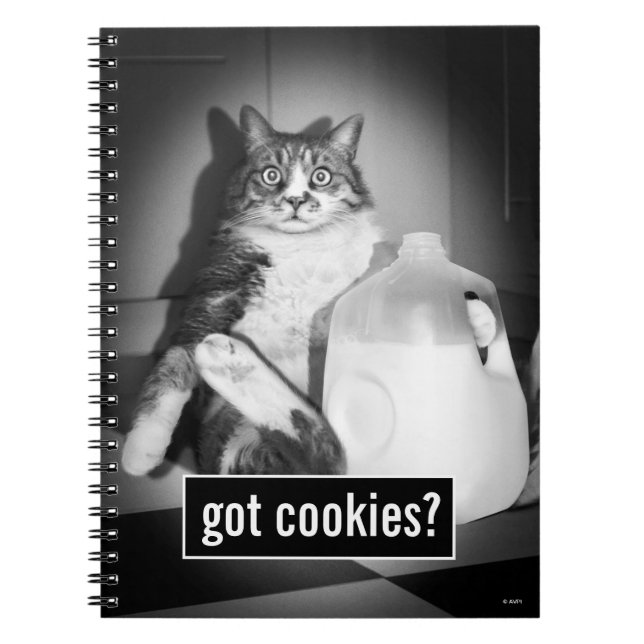 Cat Drinking Milk From Jug Notebook (Front)