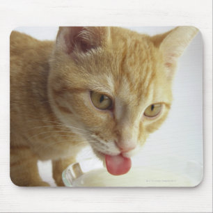 Cat drinking milk mouse mat