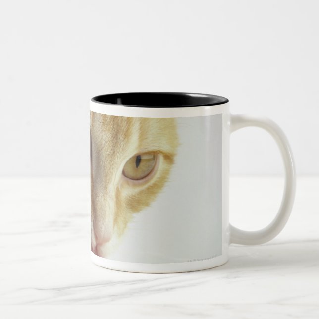 Cat drinking milk Two-Tone coffee mug (Right)
