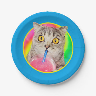 Cat Drinking Slushie Paper Plate