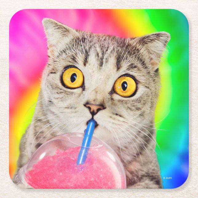 Cat Drinking Slushie Square Paper Coaster (Front)