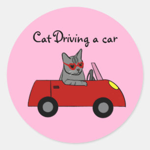 Cat driving a car sticker