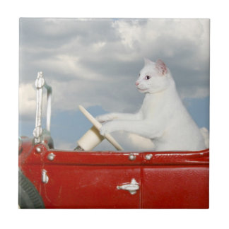 Cat driving a car tile
