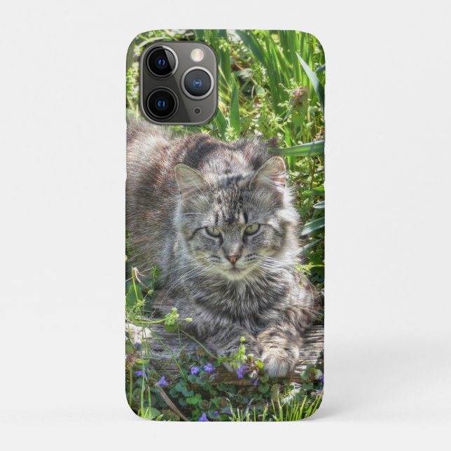 Cat During Eclipse Case-Mate iPhone Case (Back)